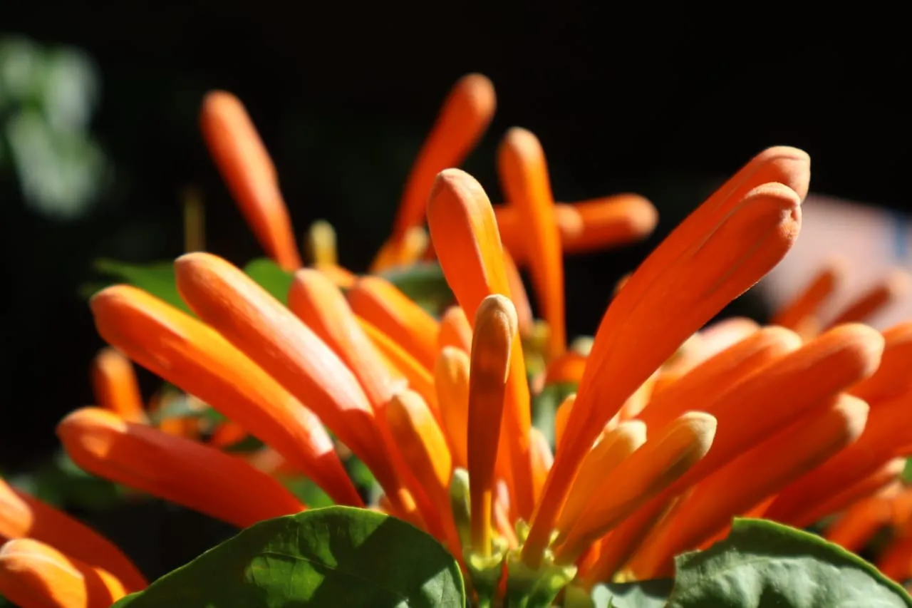 🌿 Cómo vivir de manera más consciente y en armonía con la naturaleza