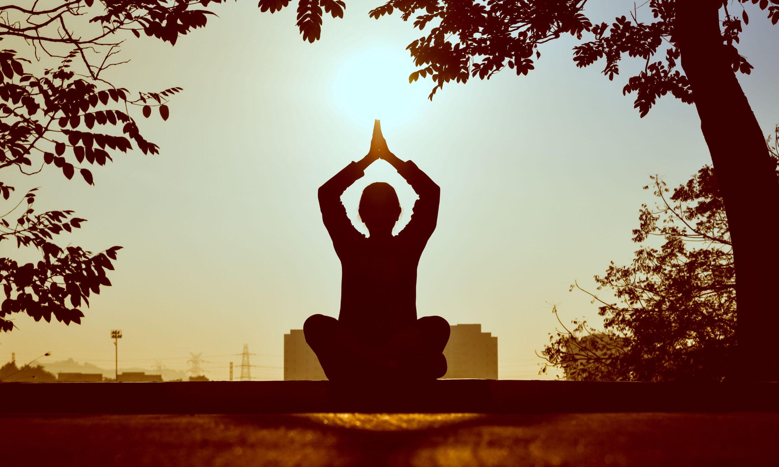 Cómo Potenciar tu Yoga en Casa con Herramientas de Bienestar Botánico